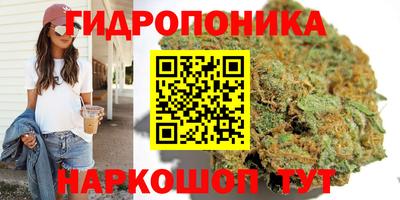 гидра Дубна