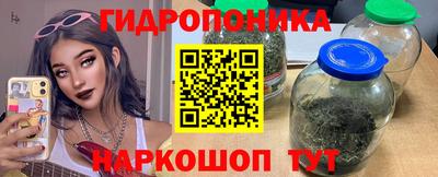 гидра Дубна