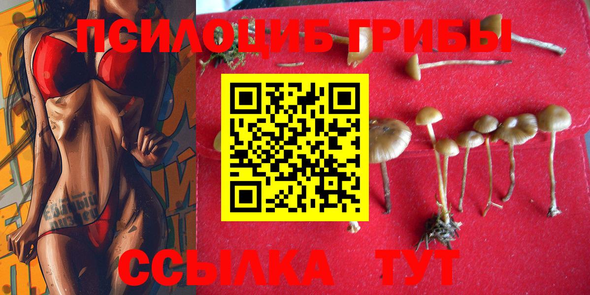Псилоцибиновые грибы мухоморы  Вход с VPN  Михайловка 