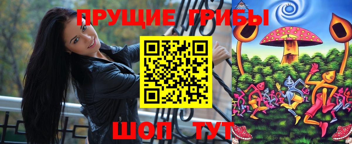 Галлюциногенные грибы Psilocybe Михайловка